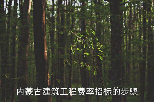 費率投標(biāo)怎么投，請教說一下費率投標(biāo)怎么做怎么算費率