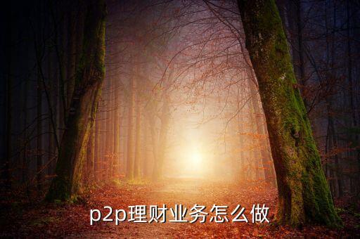 比較好的p2p怎么做，想把一個P2P平臺運營好該如何做