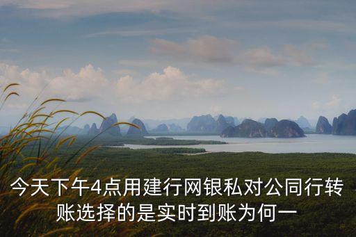 今天下午4點用建行網(wǎng)銀私對公同行轉(zhuǎn)賬選擇的是實時到賬為何一