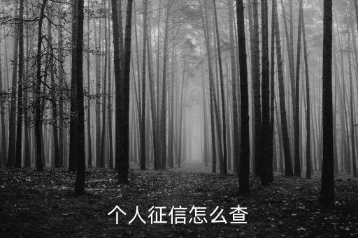 個人誠信怎么查詢，個人征信 怎么查