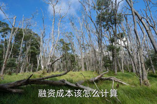 籌資成本怎么算出來(lái)，融資成本該怎么計(jì)算