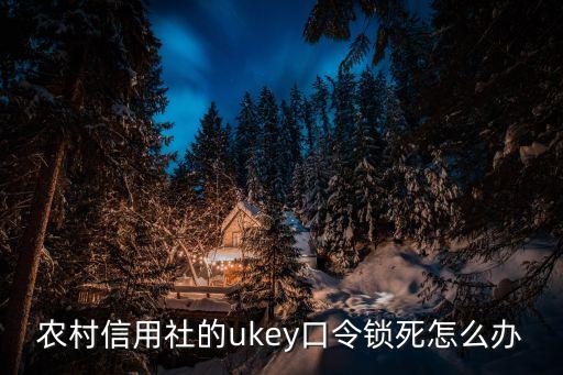 信用社口令怎么弄開，農(nóng)村信用社的ukey口令鎖死怎么辦