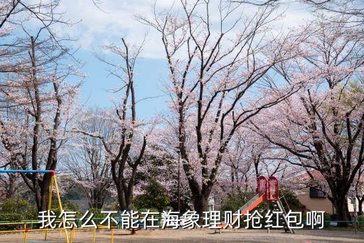 我怎么不能在海象理財搶紅包啊