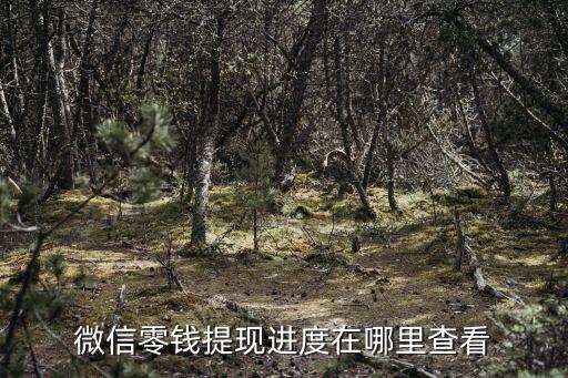 微信零錢提現(xiàn)進(jìn)度在哪里查看