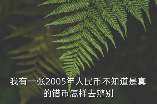 2005年的鈔票怎么辨別真假，我有一張2005年人民幣不知道是真的錯(cuò)幣怎樣去辨別