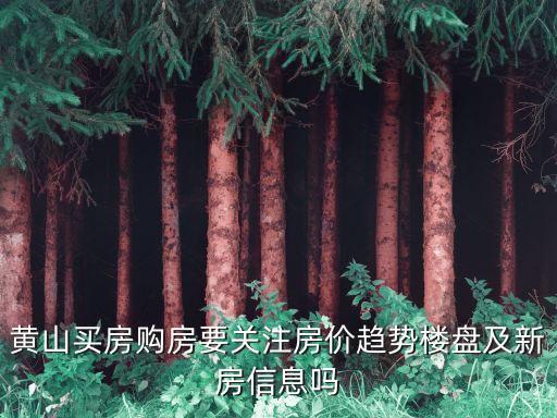 去黃山買房怎么樣，在景區(qū)買房好不好呢