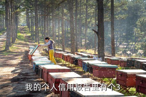 寧波銀行尊尚卡征信上怎么顯示，支付寶轉賬到葫蘆島銀行一般多長時間能到賬