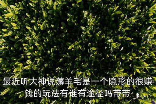 最近聽大神說薅羊毛是一個隱形的很賺錢的玩法有誰有途徑嗎帶帶