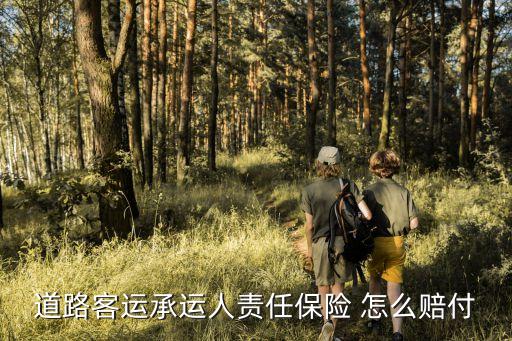 道路客運(yùn)承運(yùn)人責(zé)任保險(xiǎn) 怎么賠付