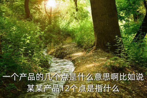 12個點是多少怎么算，一個產(chǎn)品的幾個點是什么意思啊比如說某某產(chǎn)品12個點是指什么