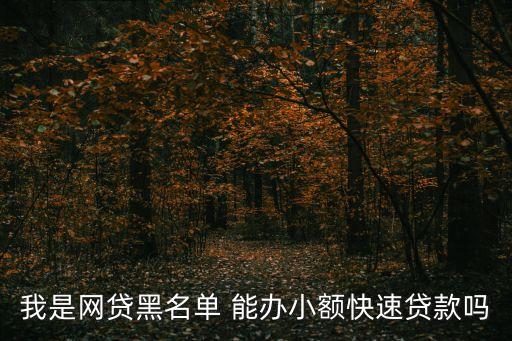 黑名單怎么快速借款，征信黑名單可以閃電借款嗎