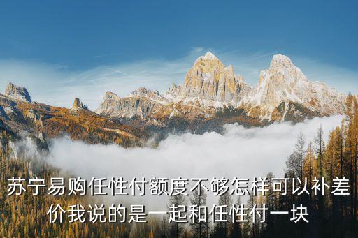蘇寧易購任性付額度不夠怎樣可以補(bǔ)差價(jià)我說的是一起和任性付一塊