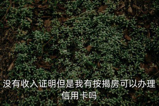 沒有收入證明但是我有按揭房可以辦理信用卡嗎