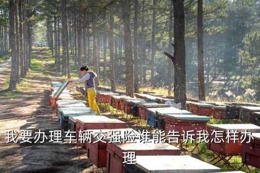 車輛交強險怎么辦理，汽車交強險需要什么手續(xù)