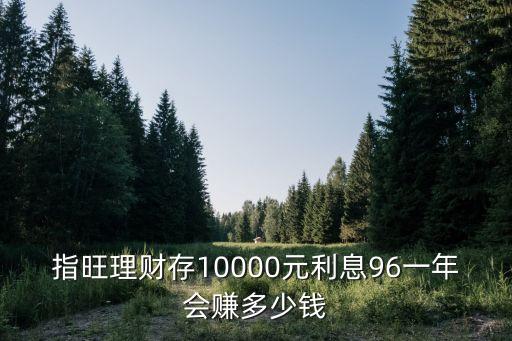 指旺理財(cái)怎么賺錢的，請(qǐng)間指旺理才怎么變現(xiàn)呀