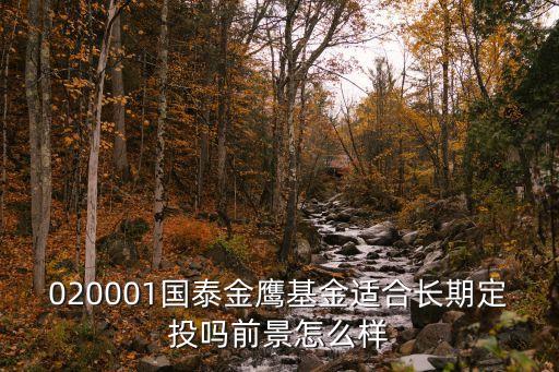 020001國泰金鷹怎么樣，020001國泰金鷹基金適合長期定投嗎前景怎么樣