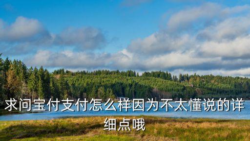 求問寶付支付怎么樣因為不太懂說的詳細點哦