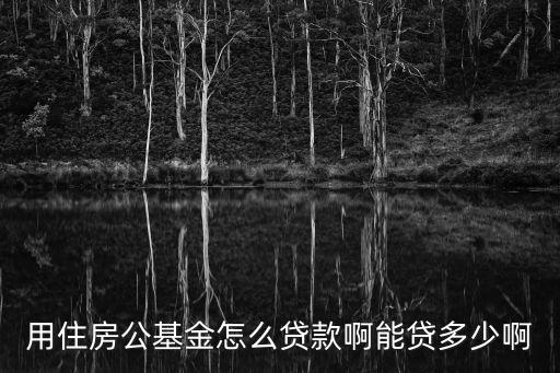 用住房公基金怎么貸款啊能貸多少啊