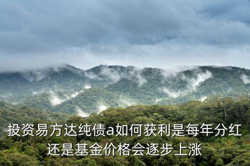 純債基金怎么獲利，投資易方達(dá)純債a如何獲利是每年分紅還是基金價格會逐步上漲