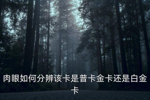 肉眼如何分辨該卡是普卡金卡還是白金卡