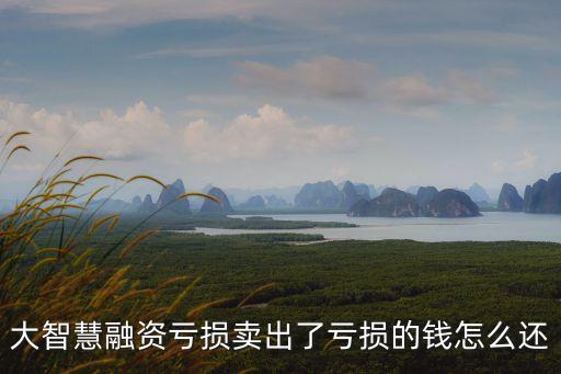 股票融資虧了怎么還款，融資融券現(xiàn)金還款問題