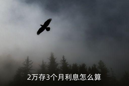 2萬3分月利息怎么算，貸20000元2分3的利怎么算