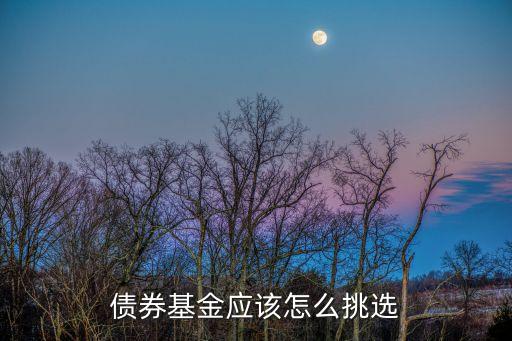 債券基金怎么選，債券基金應(yīng)該怎么挑選