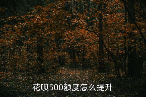 螞蟻花唄才500怎么提升，螞蟻花唄怎么提升透支額度啊 我的透支額度剛500