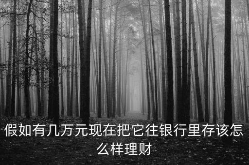 幾萬(wàn)元怎么投資理財(cái)，假如有幾萬(wàn)元現(xiàn)在把它往銀行里存該怎么樣理財(cái)
