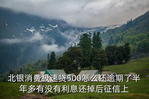 北銀消費極速貸500怎么還逾期了半年多有沒有利息還掉后征信上