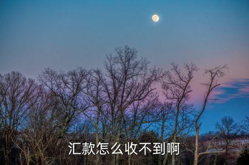 收不到匯款是怎么回事，為什么別人給我匯錢了我收不到