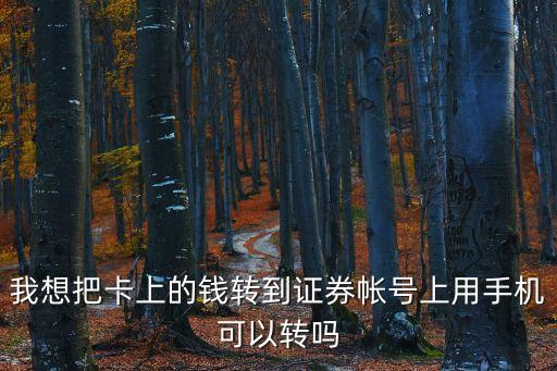 我想把卡上的錢轉(zhuǎn)到證券帳號上用手機可以轉(zhuǎn)嗎