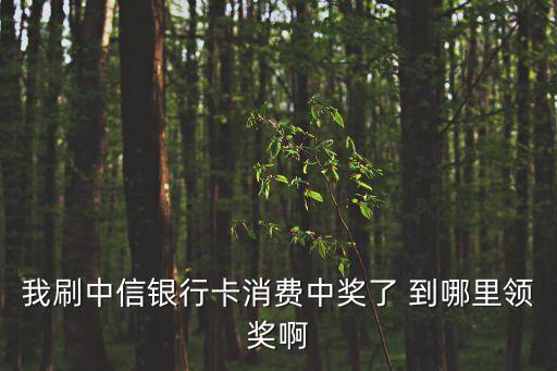 中信首刷紅包怎么兌，昨天用中信的信用卡刷卡中了5元錢不知道在哪兌獎