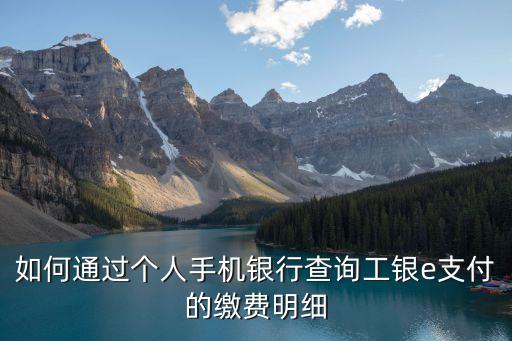 e支付怎么交費(fèi)，如何通過(guò)個(gè)人網(wǎng)上銀行查詢工銀e支付的繳費(fèi)明細(xì)