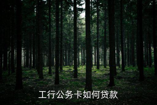 工商銀行公務(wù)卡怎么自助貸款，工行公務(wù)卡如何貸款