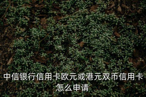 中信銀行信用卡歐元或港元雙幣信用卡怎么申請