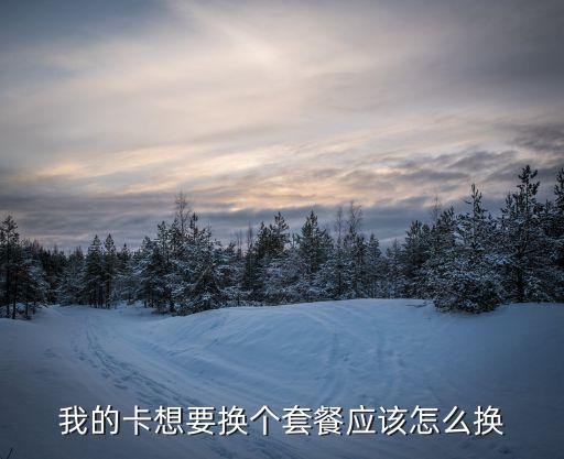 天天卡套餐怎么更改，我想改套餐誰能告訴怎么改