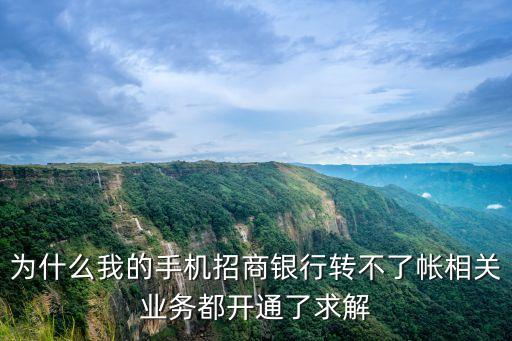 為什么我的手機(jī)招商銀行轉(zhuǎn)不了帳相關(guān)業(yè)務(wù)都開(kāi)通了求解