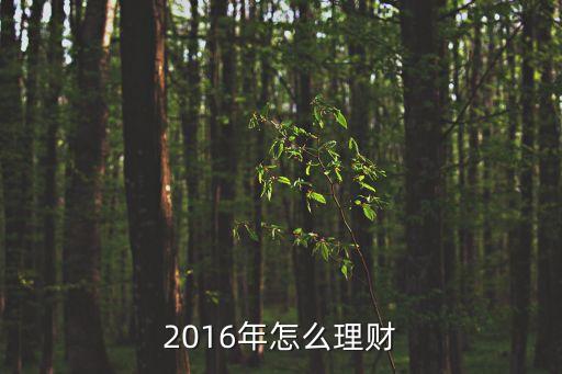 2016年怎么理財