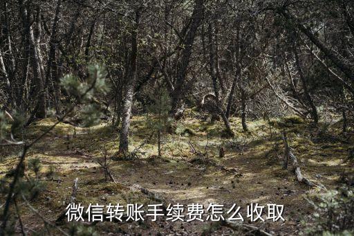 微信微信轉(zhuǎn)賬怎么收錢嗎，微信轉(zhuǎn)帳收費(fèi)嗎