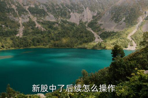 新股中簽后怎么處理，新股申購(gòu)中簽后應(yīng)該怎樣做