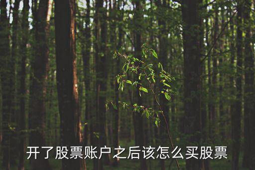 開了股票賬戶之后該怎么買股票