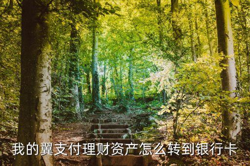 甜橙理財怎么把錢轉(zhuǎn)入銀行卡，翼支付甜橙理財?shù)?元新手怎么提現(xiàn)