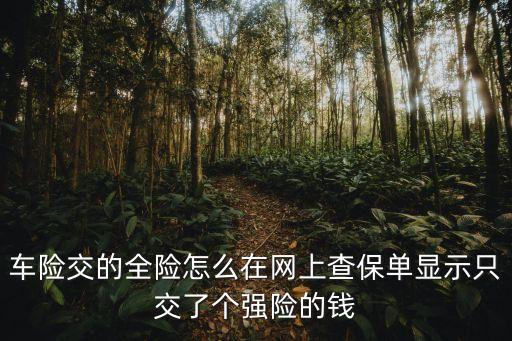 車險交的全險怎么在網(wǎng)上查保單顯示只交了個強(qiáng)險的錢