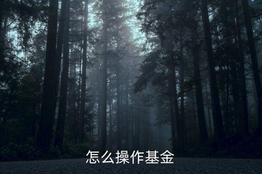 母基金怎么操作，怎么操作基金