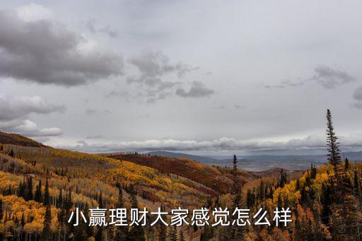 小贏理財(cái)大家感覺怎么樣