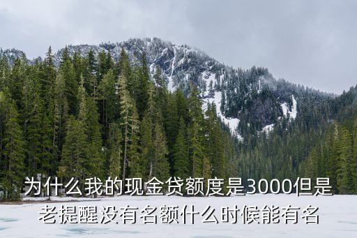 為什么我的現(xiàn)金貸額度是3000但是老提醒沒(méi)有名額什么時(shí)候能有名