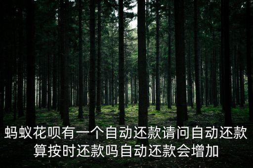 怎么才是按時(shí)還款，螞蟻花唄有一個(gè)自動(dòng)還款請(qǐng)問自動(dòng)還款算按時(shí)還款嗎自動(dòng)還款會(huì)增加