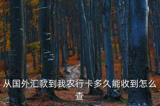 國際匯款怎么查農(nóng)行，從國外匯款到我農(nóng)行卡多久能收到怎么查