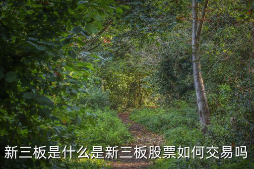 新三板是什么是新三板股票如何交易嗎